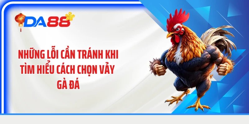 Những lỗi cần tránh khi tìm hiểu cách chọn vảy gà đá